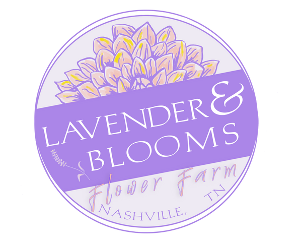 Lavender & Blooms